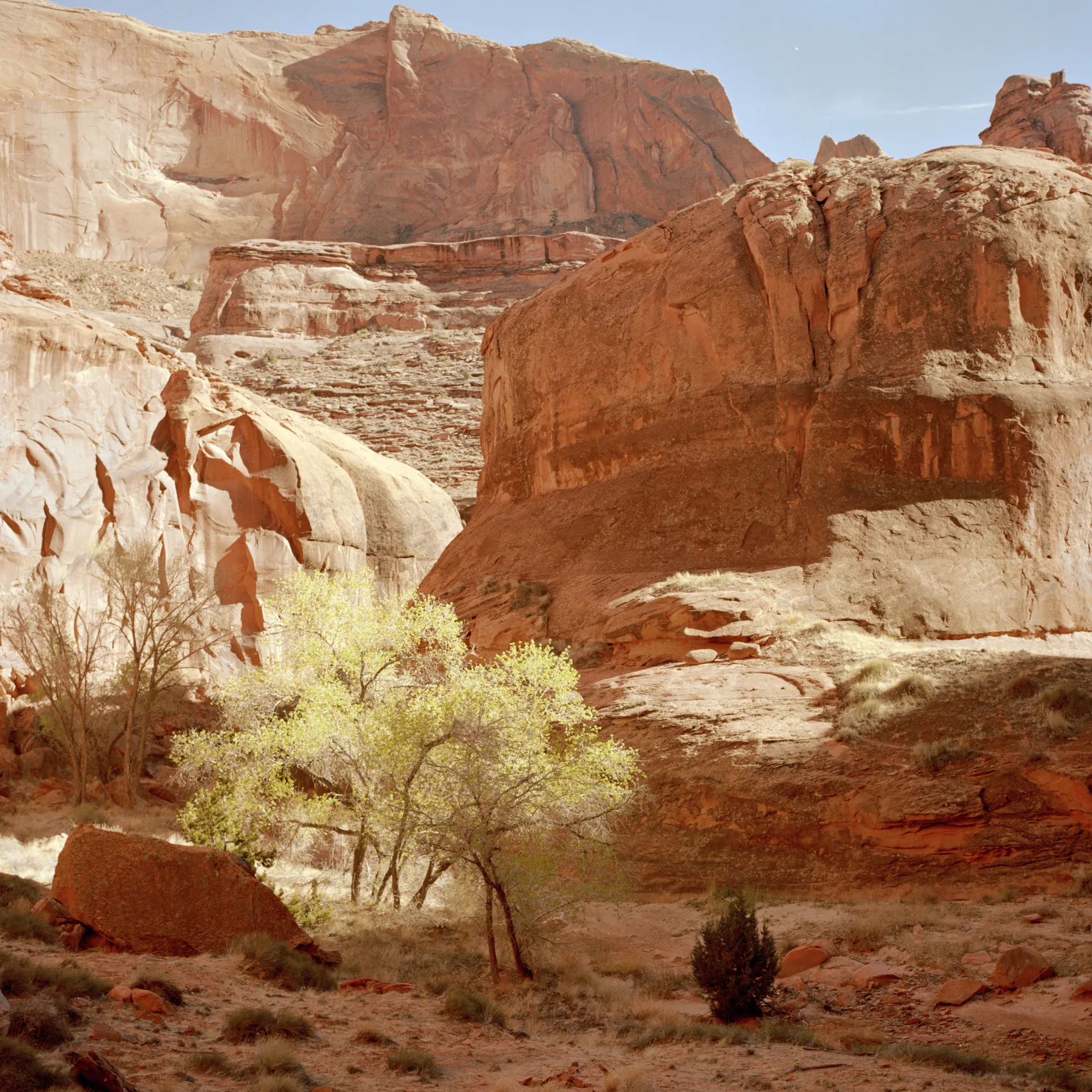 Redrock 1